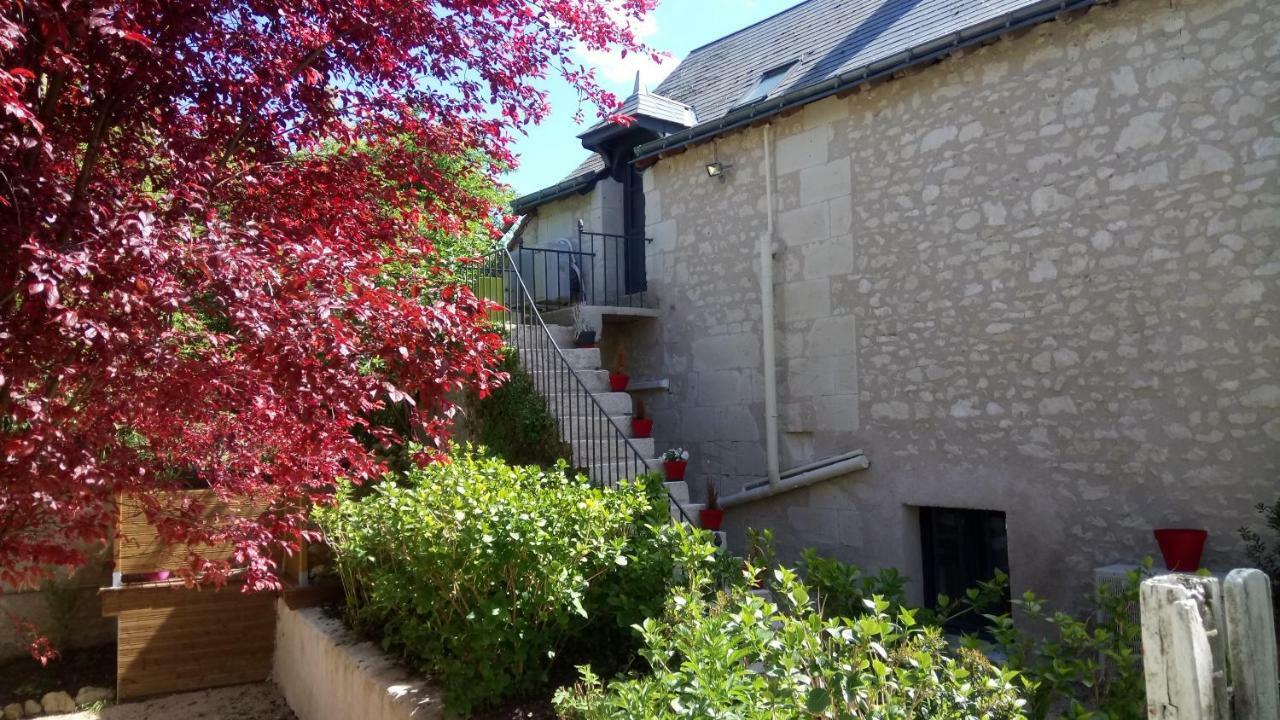 Gites Et Chambres Des Coteaux Sainte Maure de Touraine Bagian luar foto